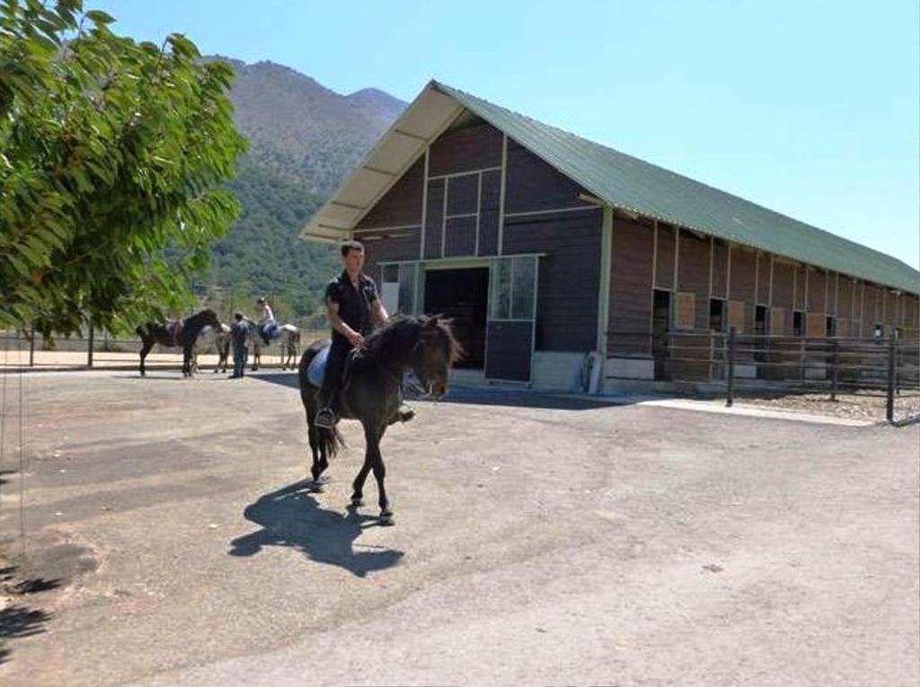 Lefkoritis Resort Askifou Sfakia Petrés Zewnętrze zdjęcie