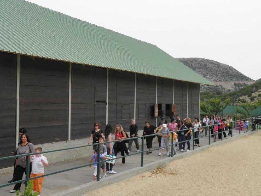 Lefkoritis Resort Askifou Sfakia Petrés Zewnętrze zdjęcie
