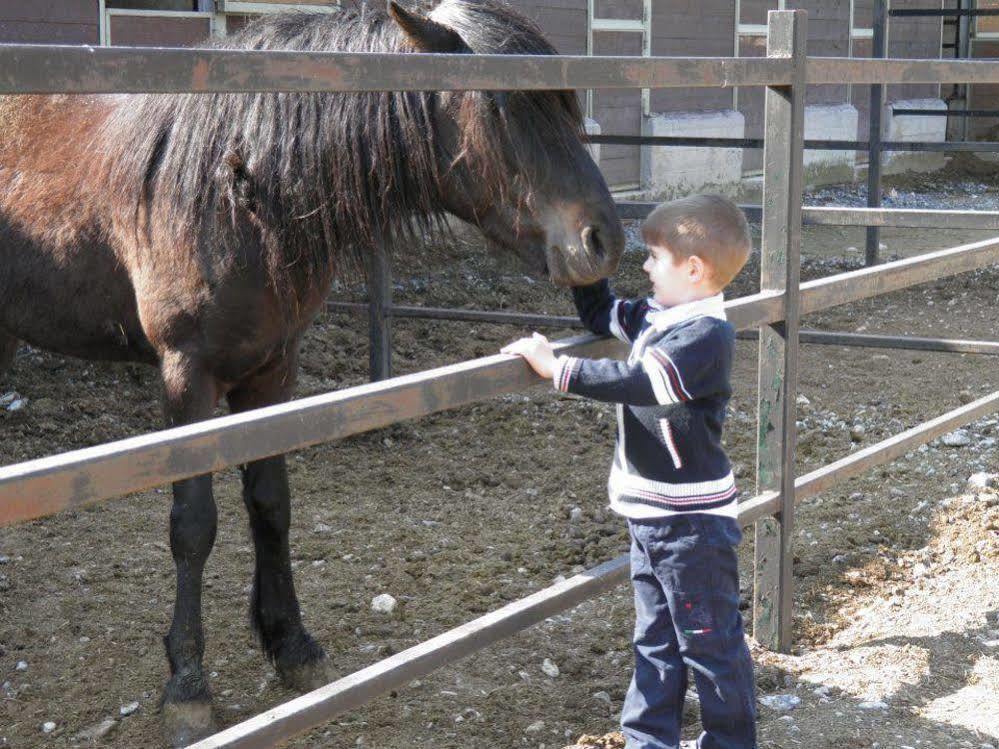 Lefkoritis Resort Askifou Sfakia Petrés Zewnętrze zdjęcie